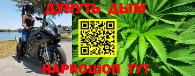 стаф Лесосибирск