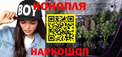 стаф Лесосибирск