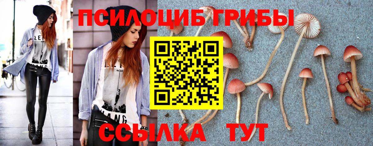 закладка  Вход с VPN  Саяногорск  Псилоцибиновые грибы MAGIC MUSHROOMS 