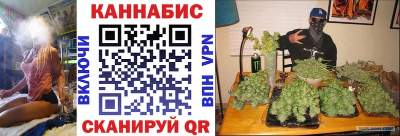 Бошки Шишки MAZAR  гидра ссылки  Саяногорск 