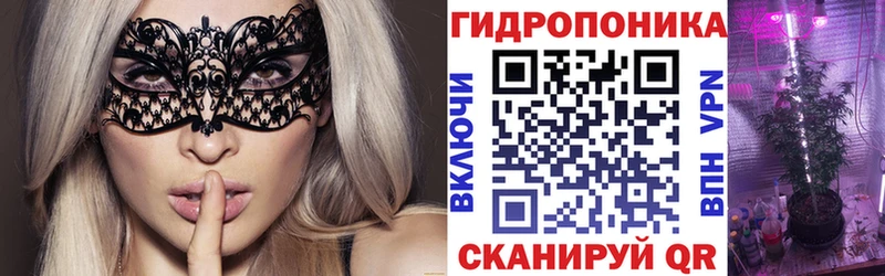 Шишки марихуана сатива Саяногорск
